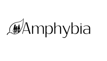 Amphybia &ndash; Consultant en environnement