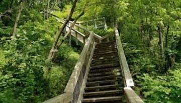 Sentier p&eacute;destre